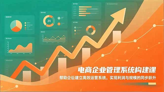 电商企业管理系统构建课:帮助企业建立高效运营系统,实现利润与规模的同步跃升-1 电商企业管理系统构建课:帮助企业建立高效运营系统,实现利润与规模的同步跃升-1