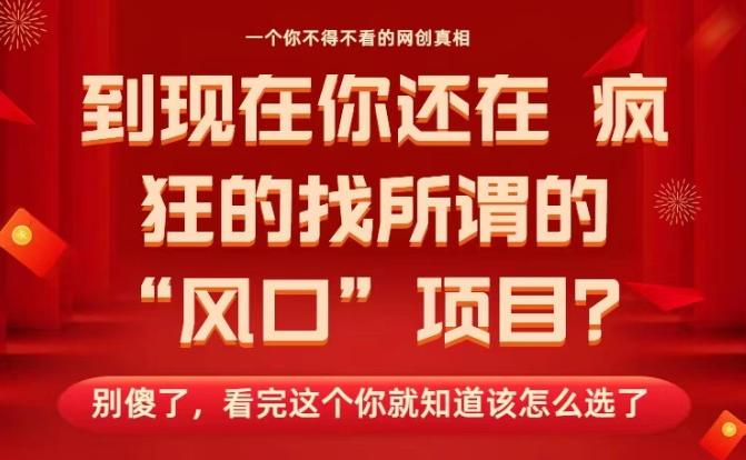 马上26年了,你还在找所谓的风口项目?别傻了,看完这个你全都懂了!【揭秘】-1 马上26年了,你还在找所谓的风口项目?别傻了,看完这个你全都懂了!【揭秘】-1
