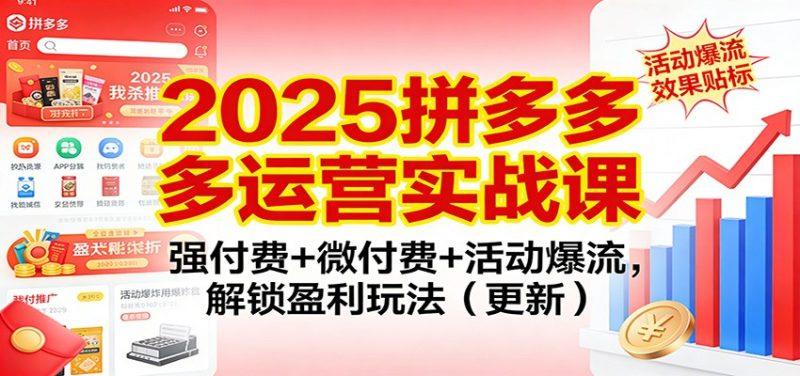 2025拼多多运营实战课:强付费+微付费+活动爆流,解锁盈利玩法(更新)-1 2025拼多多运营实战课:强付费+微付费+活动爆流,解锁盈利玩法(更新)-1
