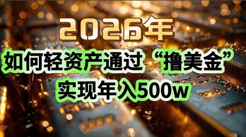 2026年如何轻资产通过“撸美金”实现年入500w