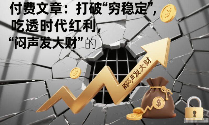 付费文章：打破“穷稳定”，吃透时代红利，“闷声发大财”的终极真谛-1
