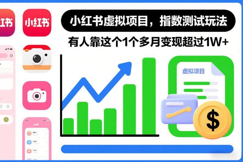 小红书虚拟项目，指数测试玩法，有人靠这个1个多月变现超过1W+