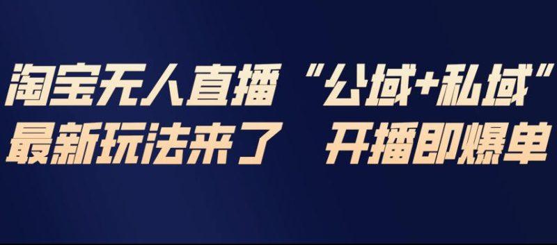淘宝无人直播完整教程，公试+私域，最新玩法来了，开播即爆单-2
