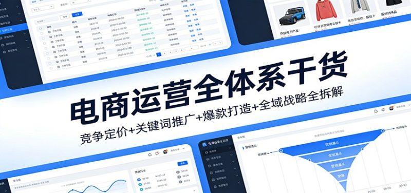 电商运营全体系干货，竞争定价+关键词推广+爆款打造+全域战略全拆解